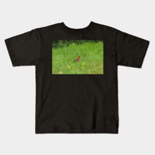 Crimson Rosella Collecting Dandelion Kids T-Shirt